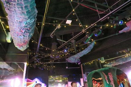 20240511_131810 null