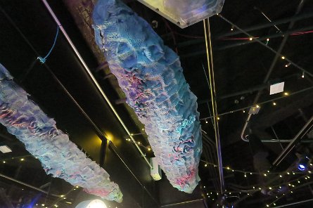 20240511_131813 null