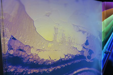 20240511_131822 null