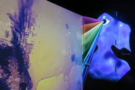 20240511_131916 null