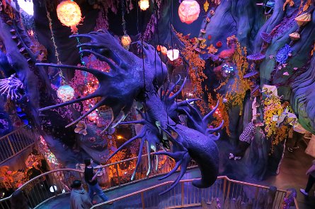 20240511_131350 null