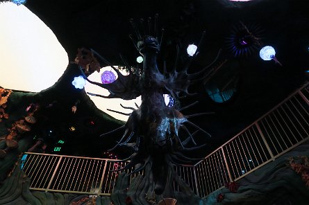 20240511_134213 null