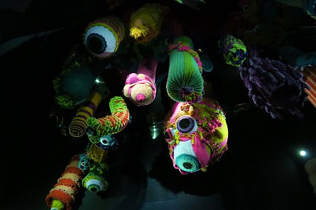 20240511_151745 null