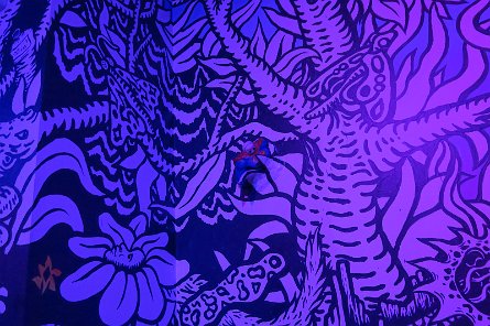 20240511_152429 null