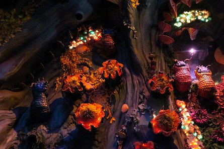 20240511_152132 null