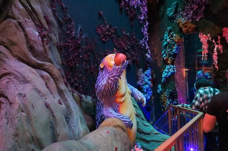 20240511_134819 null