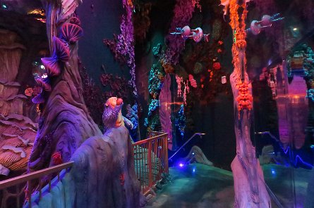 20240511_173536 null