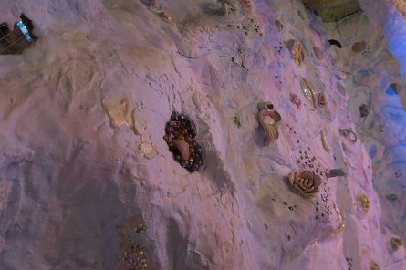 20240511_131609 null