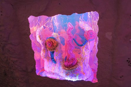 20240511_134255 null