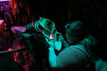 20240511_131515 null