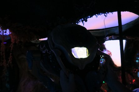 20240511_132247 null