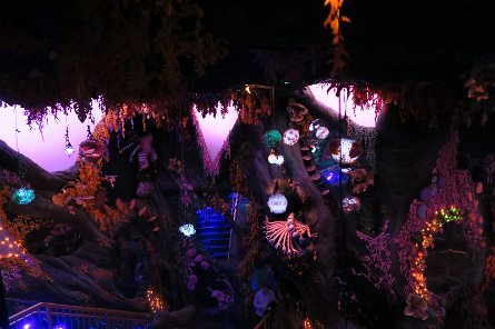 20240511_131214 null