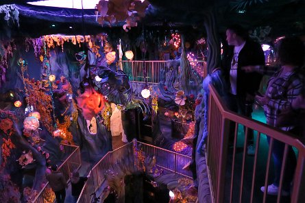 20240511_131219 null