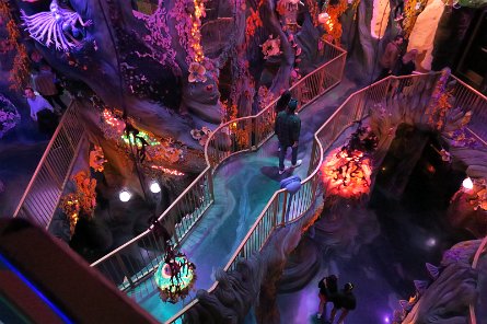 20240511_131223 null