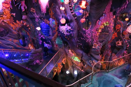 20240511_131225 null