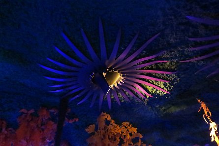 20240511_131227 null