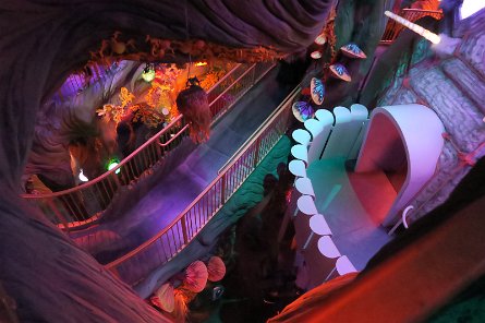 20240511_131254 null