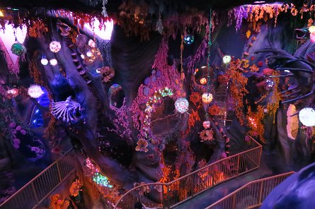 20240511_131306 null