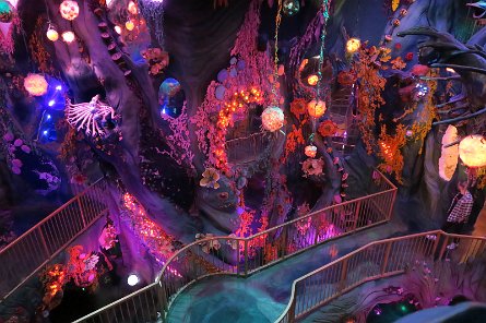 20240511_131332 null