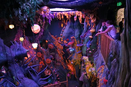 20240511_131356 null