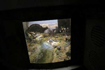 20240511_114457 null