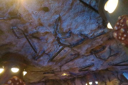 20240511_145512 null