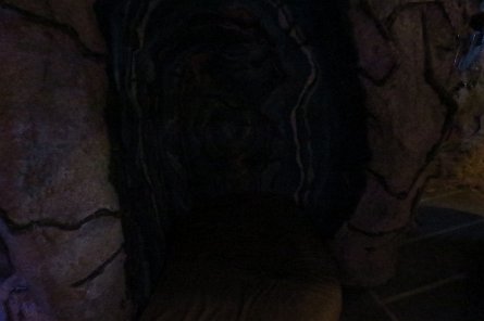 20240511_145525 null