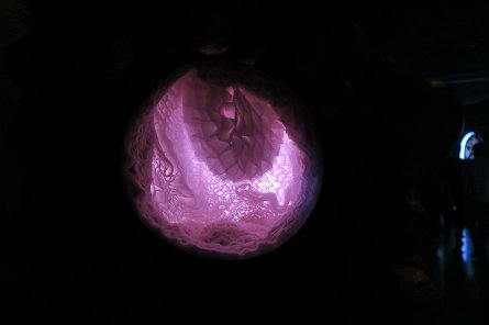 20240511_145539 null