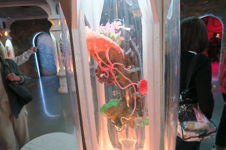 20240511_145851 null