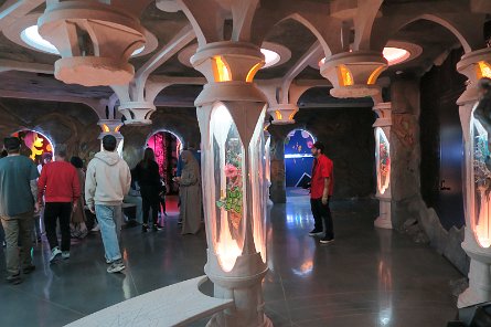 20240511_145901 null