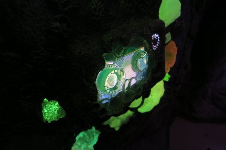 20240511_144936 null