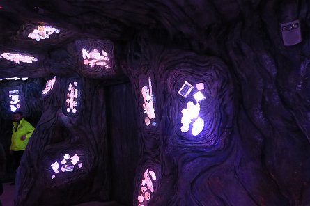 20240511_145007 null