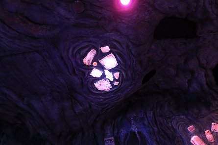 20240511_145009 null