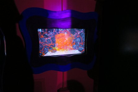 20240511_114938 null