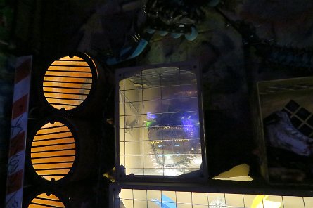 20240511_144857 null