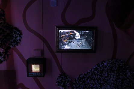 20240511_155455 null