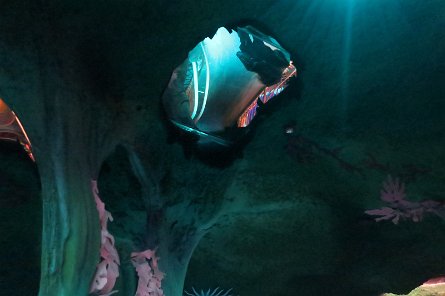 20240511_131948 null