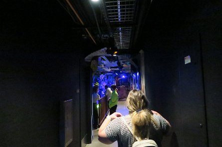 20240511_153159 null