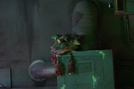 20240511_153405 null