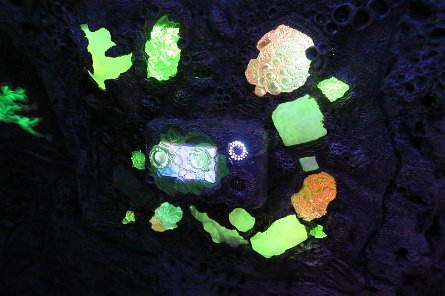 20240511_180707 null