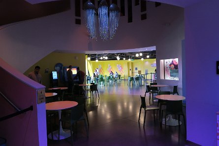 20240511_111319 null