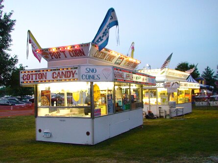 DallasCountyFair2008