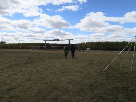 CornMaze