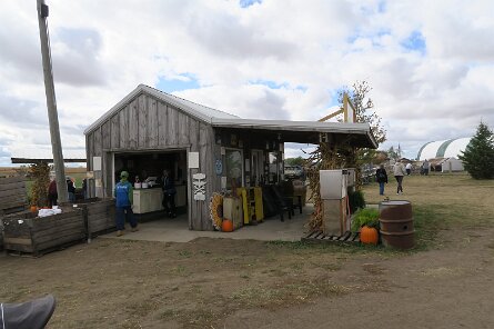 20231007_115949 null