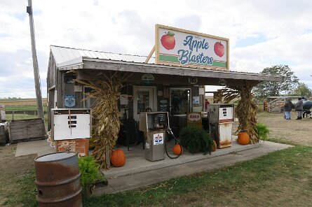 20231007_120006 null