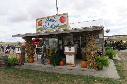 20231007_120028 null