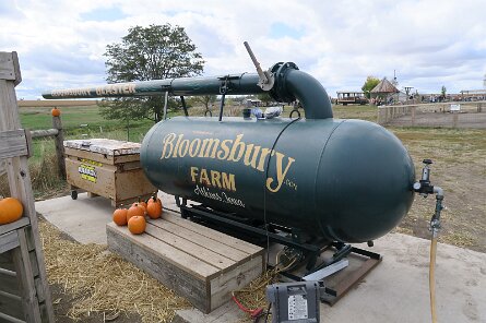 20231007_120115 null