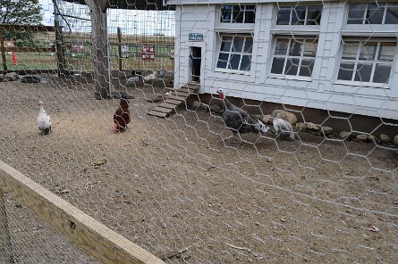 20231007_120943 null