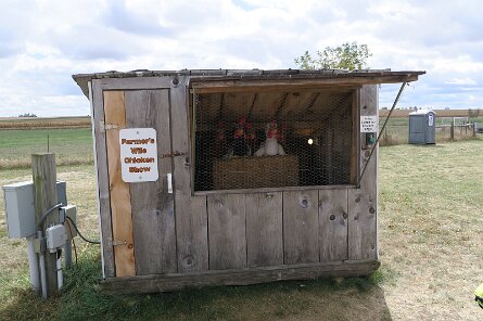 20231007_121019 null