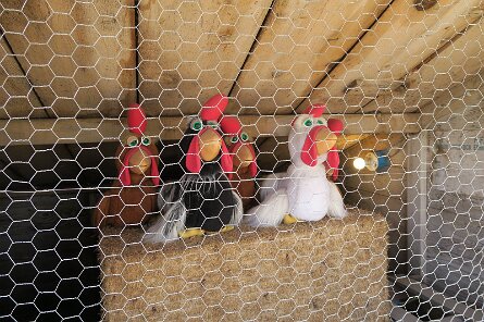 20231007_121025 null